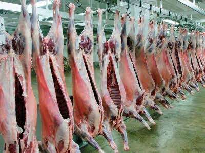 Hygienic And Quality Assured Halal Meat Export Company Bahamed General Trading Limited