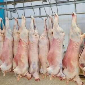 Freshly processed halal meat ready for international export