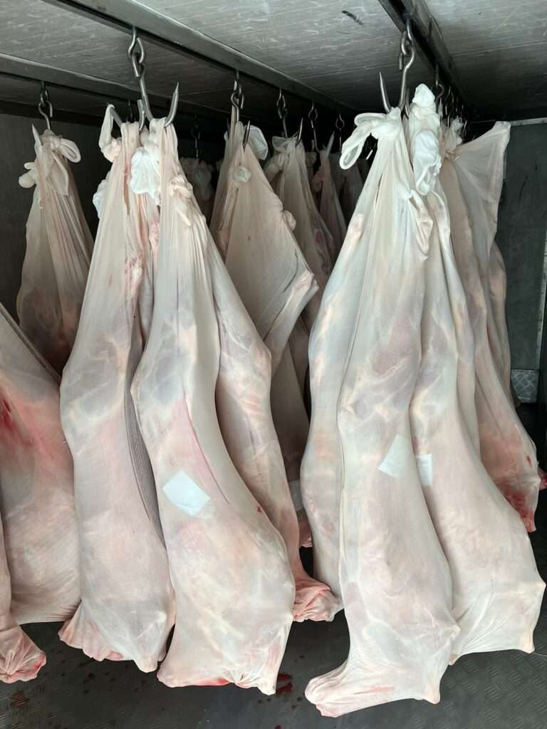 Halal Certified Meat Packaged And Ready For Export From East Africa Kenya To The Middle East From Bahamed General Trading Limited