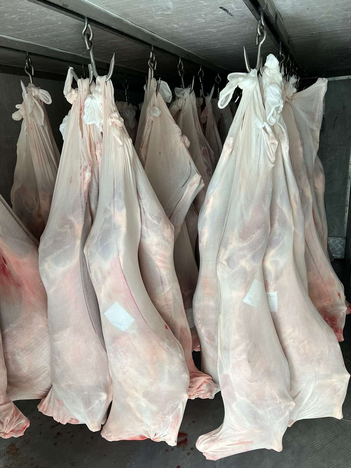 meat exporter from east africa mombasa kenya with halal certification